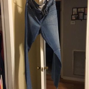 Torrid Jeans